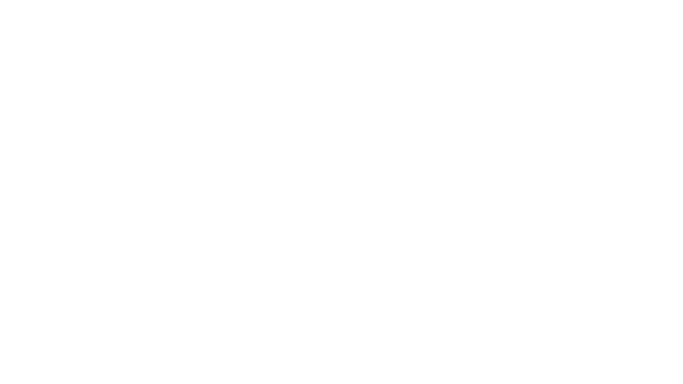 BerlinsChallenge